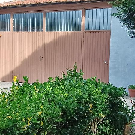 Casa Da Vovo Ceu: Countryside Retreat with Pool near Coimbra and Aveiro Villa Cantanhede Exterior photo